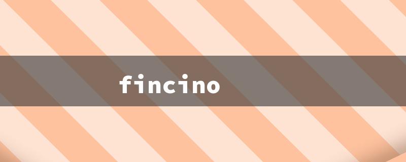 fincino