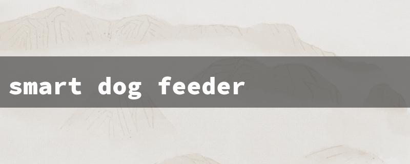 smart dog feeder（Large Dog Feeder）