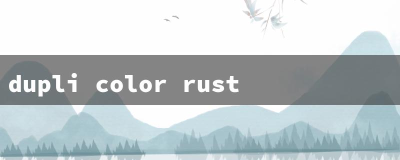 dupli color rust barrier（Rust Barrier Review）