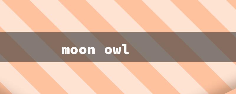 moon owl（Moon Owl Mages）