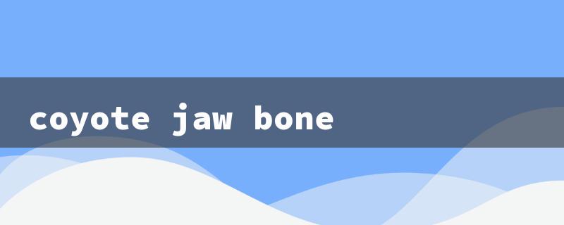 coyote jaw bone（Coyote Jaw Knife）