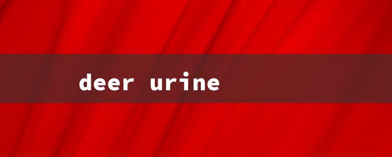 deer urine（Deer Urine for Hunting）