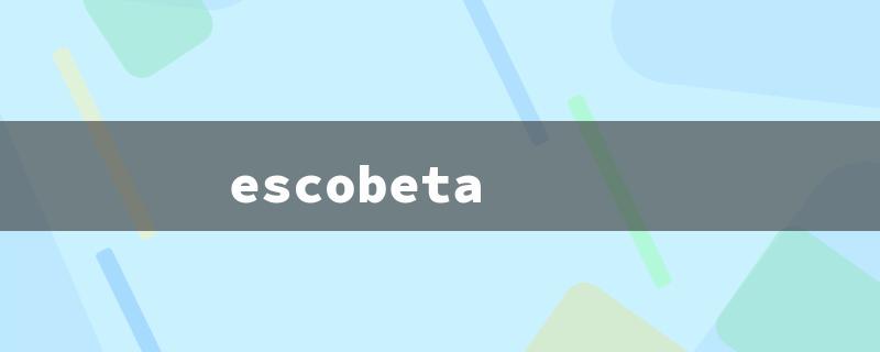 escobeta（Root Whisk: Title Word Limit of 15 Characters）