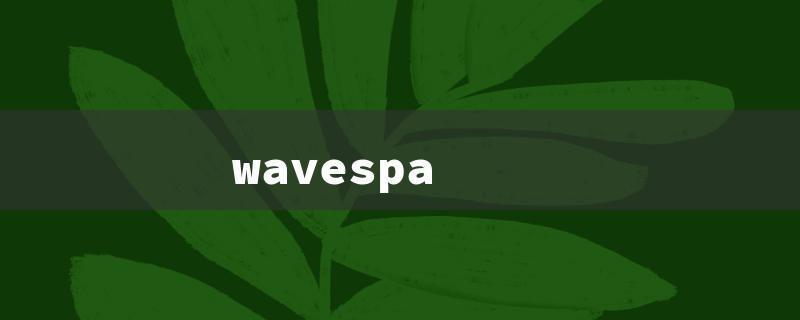 wavespa（Wave Spa）