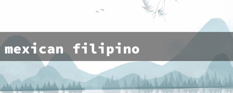 mexican filipino mix（Mexi-Filipino Mix Baby）