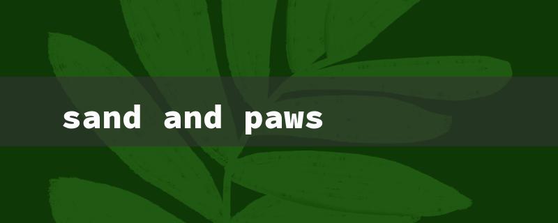 sand and paws（Sand & Paws Candles）