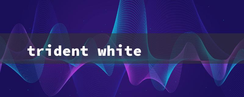 trident white（Trident Gum: Peppermint）