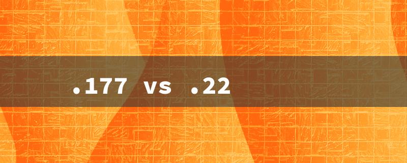 .177 vs .22（Choosing Pellet Caliber: .177 vs .22）