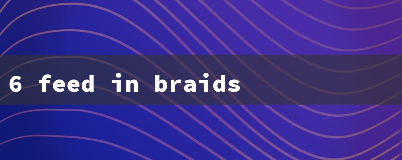 6 feed in braids styles（Six Feed-In Braid Styles）