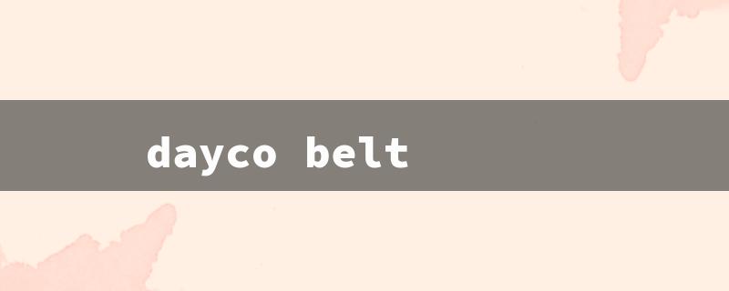 dayco belt