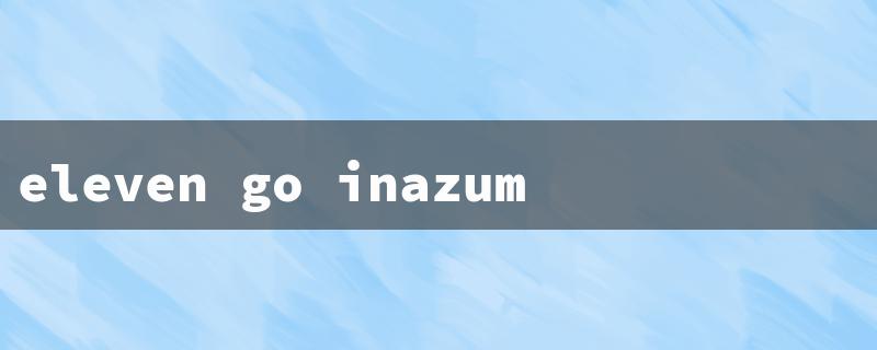 eleven go inazuma（Inazuma Eleven Go Strikers 2013）