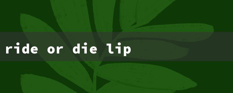 ride or die lip balm（Lip Balm Boss Berry）