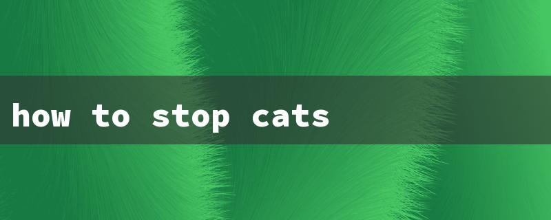 how to stop cats from pooping in your yard