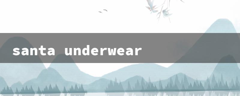 santa underwear（Santa's Undies Fun）