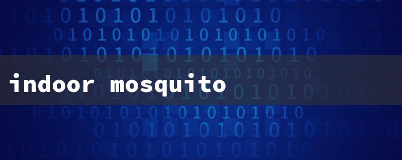 indoor mosquito control