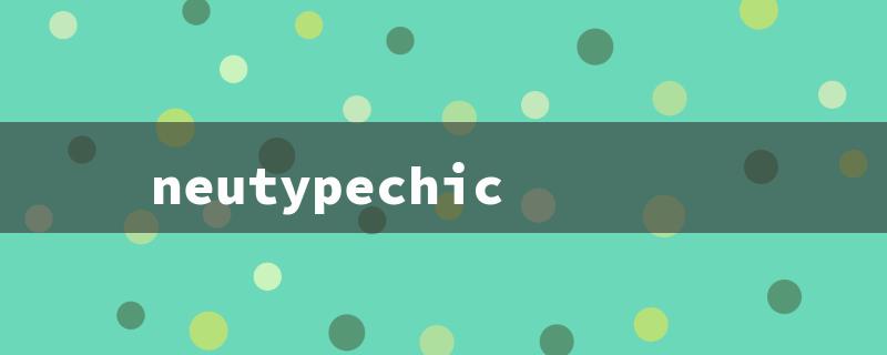 neutypechic（neutypechic mirror）