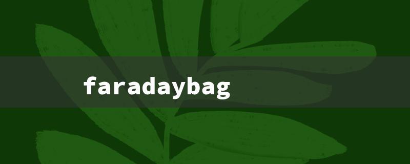 faradaybag（Faraday Bag: Title Word Limit - 15 Characters）