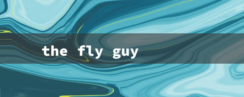 the fly guy