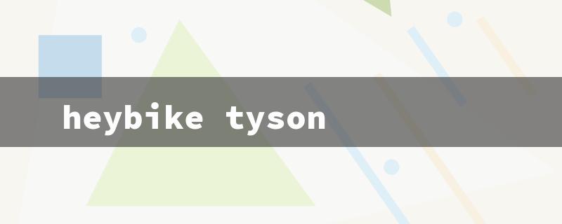 heybike tyson（Heybike Tyson Review）