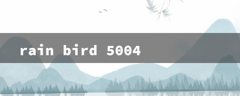 rain bird 5004（Possible title: Rain Bird 5004 Plus）