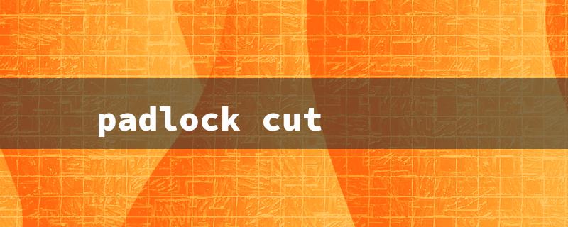 padlock cut（Padlock Cutter）