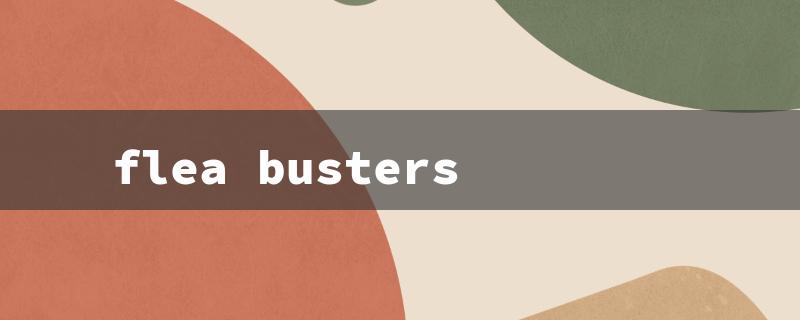 flea busters（Fleabusters Nearby）