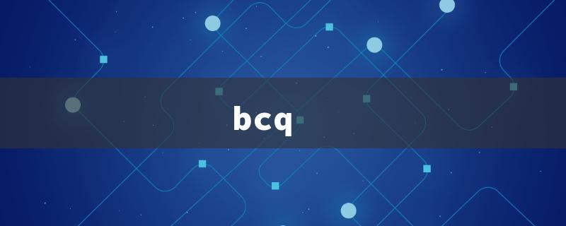 bcq（BCAA: Title Word Requirements）